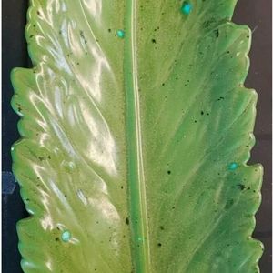 Vintage Large Ceramic Cabbage or romain Lettuce Leaf platter